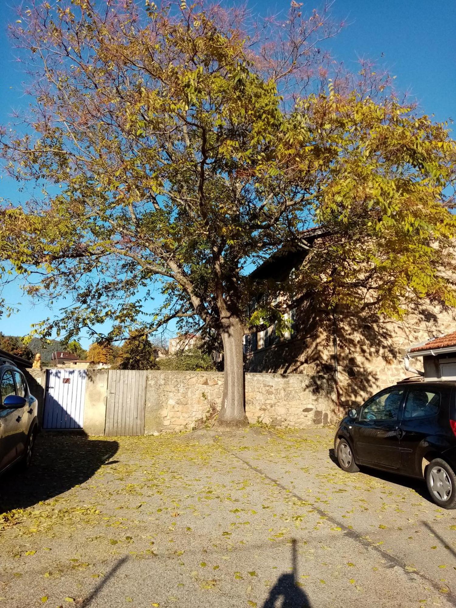 Avec Parking Gratuit Sur Place. Davezieux